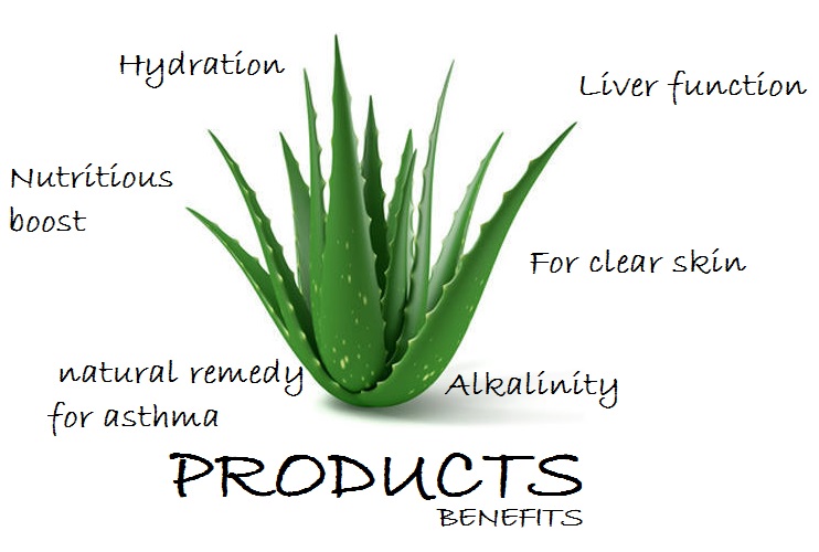 A Wide Array of Natural Products Only for Your Health and Wellbeing